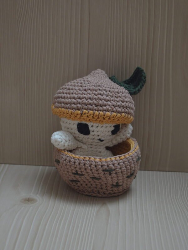 DSC_0189 Bébé Champi