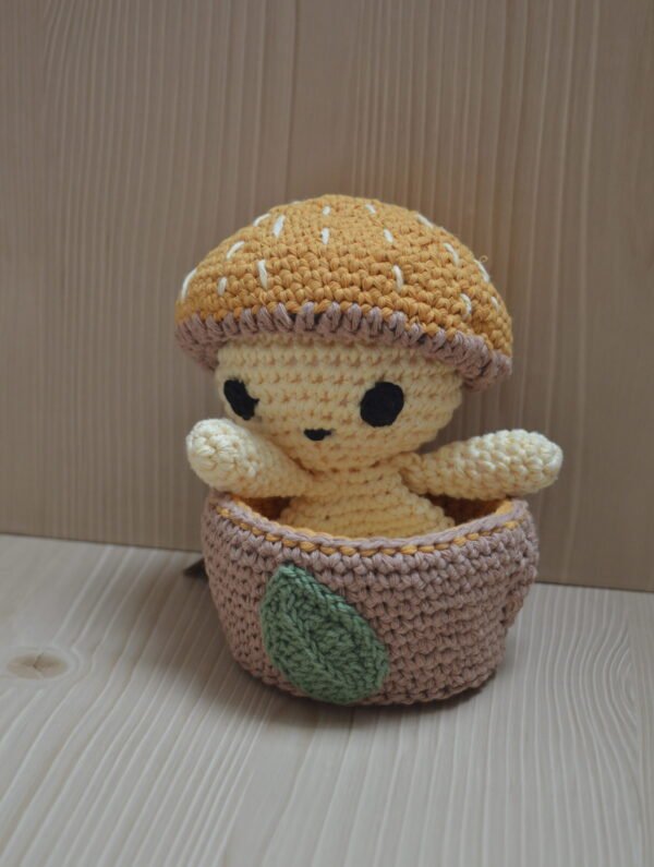 DSC_0193 Bébé Champi