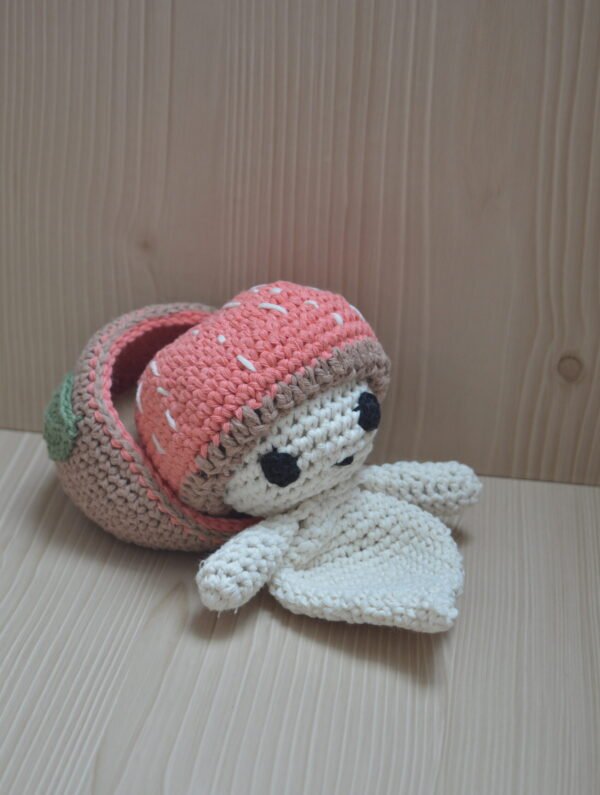 DSC_0208 Bébé Champi