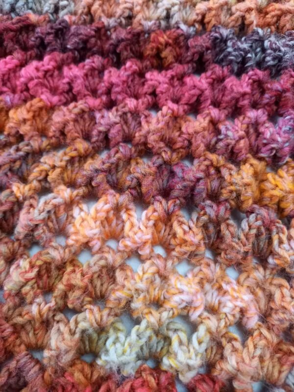 IMG-20251026-WA0069 Polypore