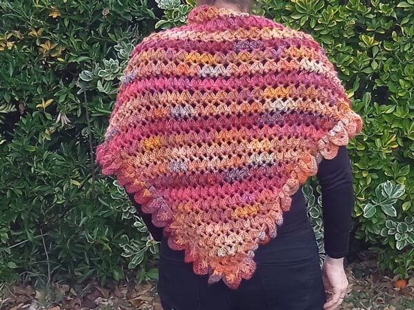 IMG-20251109-WA0060 Polypore